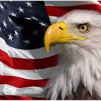 AmerIndependent (@amerindependent) 's Twitter Profile