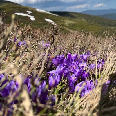 nekhai_bude's profile picture. не намагайся мене зрозуміти