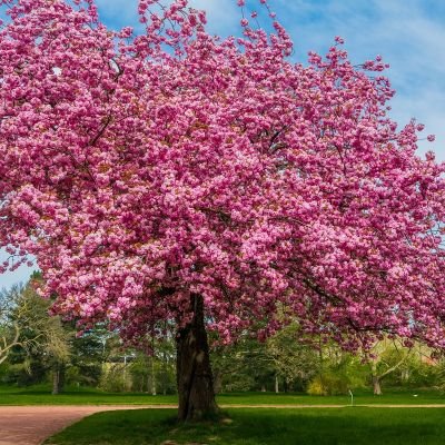 Salome732671751's profile picture. 