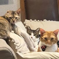 La Choco Bros🍫🔭💻 (Choconiña) (@choconina3c273) 's Twitter Profile Photo La Choco Bros🍫🔭💻 (Choconiña) (@choconina3c273) 's Twitter Profile Photo