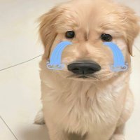 pinkk factory 222🎀 (@pinkknoodle) 's Twitter Profile Photo