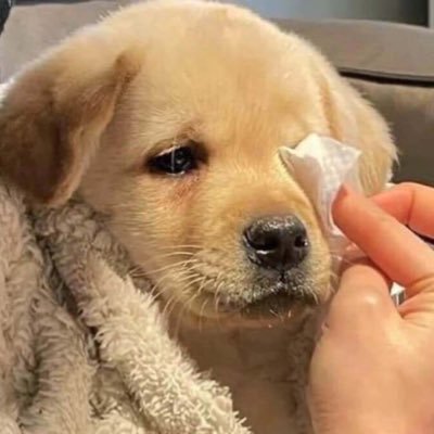 fiwhsidhiwj's profile picture. ☆*:.｡. 🎸 .｡.:*☆