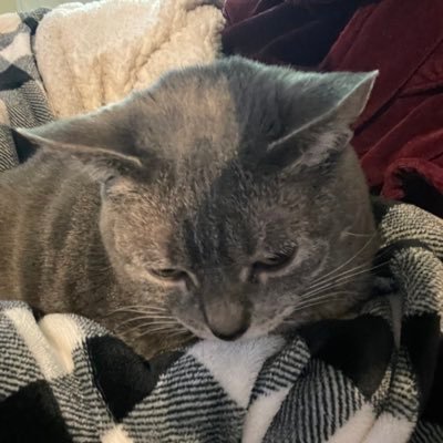 Flipflopmom0421's profile picture. 