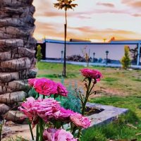 الاصلع٣٩💯 (@taali3952783) 's Twitter Profile