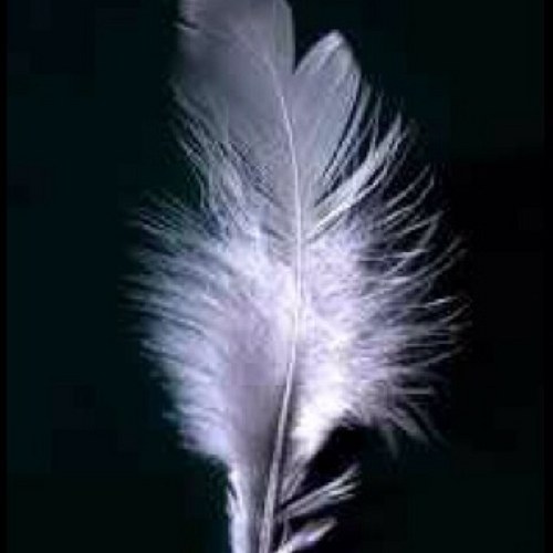 smokieone's profile picture. 