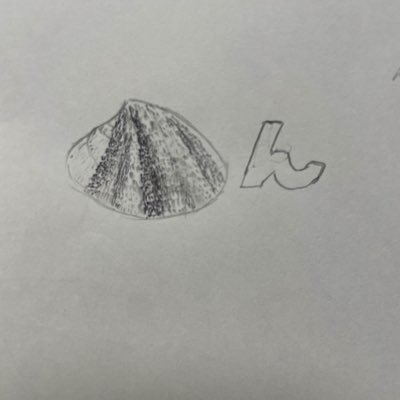 酒豪のジブ使い あさりん🐚🍺さんのプロフィール画像