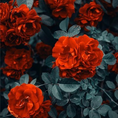 副業で収入を増やすコツを紹介中。副業を始めてみたい人に役立つ情報をお届け。多少ですがプレゼント企画も実施しております♬ 支援中➡https://t.co/UFGbGAY3V9
