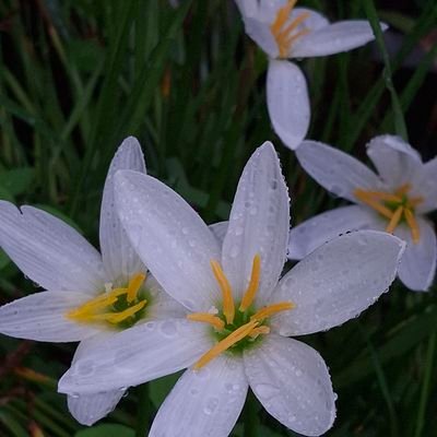 ravija3519063's profile picture. 