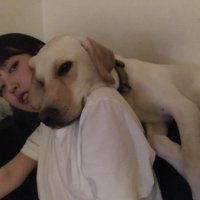 지은 (@wlrmau) 's Twitter Profile