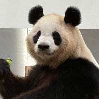 こうべAX64 (@jg3qyj) 's Twitter Profile