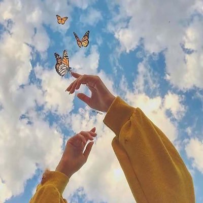 Raghodh96's profile picture. 