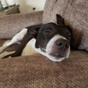 Dennis Fellows - @FellowsDen23423 - Twitter