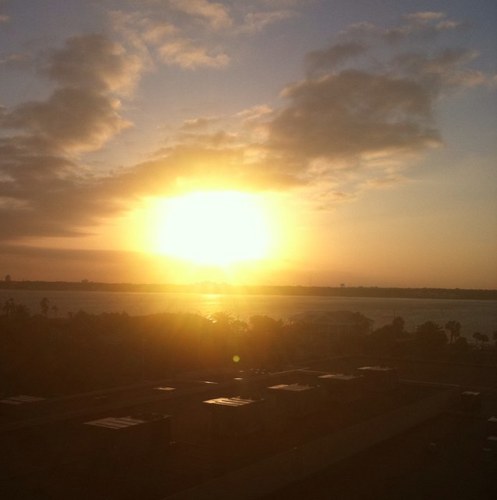 melirod204's profile picture. 