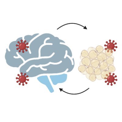 UT Southwestern lab studying energy regulation in infection. Managed by Kartik. Views do not represent UTSW.
