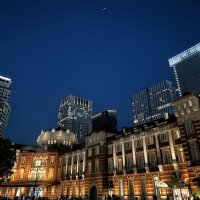 ウルフ零 (@wolf_rei_0617) 's Twitter Profile