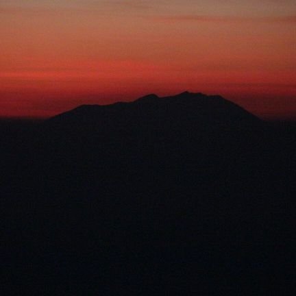 Djoengisme's profile picture. 