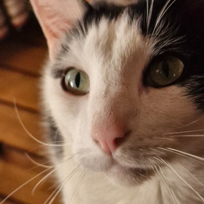 LuciHuenchuman's profile picture. 