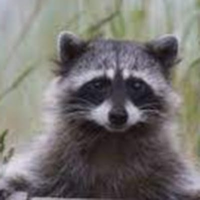 tthoughts_sss's profile picture. 