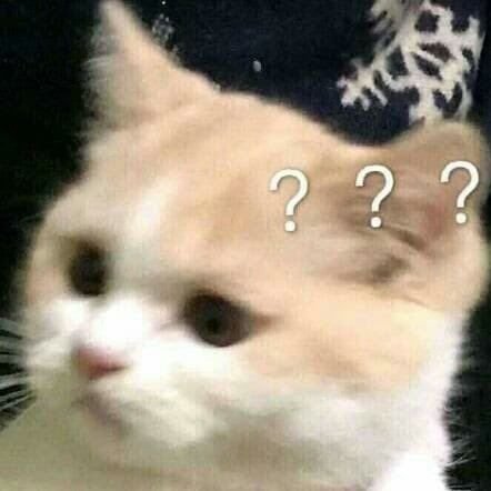 doncraiy's profile picture. ternyata aku lebih cinta pondphuwin ❤