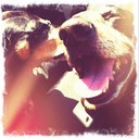 Conrad Riley - @ConradRiley - Twitter