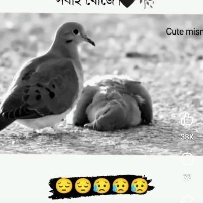 __YmwYmw's profile picture. 不问过去，不惧未来。