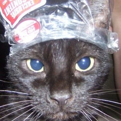 apricotmilku's profile picture. she/her
+20 | Aquarius