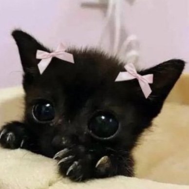 haii ^_^ haii!! :33 ^_^
18, any (it/he/she), nsfw accs on thin ice …