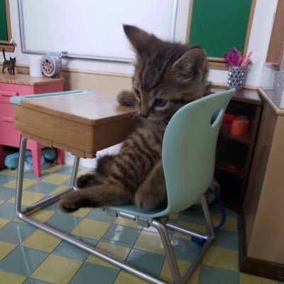 jtinred's profile picture. 