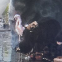faultfight (inactive) (@faultfight) 's Twitter Profile