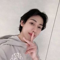 Han (@ursidaendelion) 's Twitter Profile