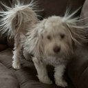 Ryan Feehan - @RyanFeehan - Twitter