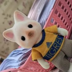 andrethunks's profile picture. uwrntspsdtlv