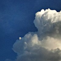 مليحة حبيب (@maliha_priyoti) 's Twitter Profile