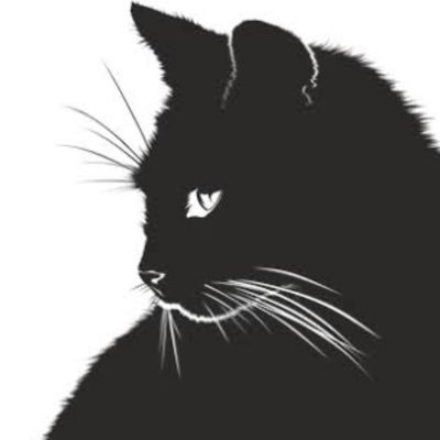 宮さんのプロフィール画像