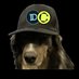 DeFiDog Profile picture