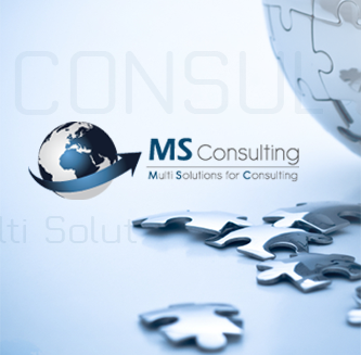 MS Consulting is specialized in Consulting,Assistance,Marketing Studies,Manpower & all kinds of International Trading