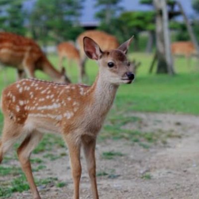 クラウドエンジニア/Pythonエンジニア/AWS GCP RAGのAIシステム設計構築運用、IT技術支援顧問先の企業3社様/AWS全15冠AWSJAPAN表彰Cert
Azure3冠
AZ900/104/305
GCP3冠
GDL/GCA/PCA
Python基礎
LPIC1/201
CCNA