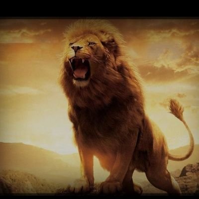 ban_sh62213's profile picture. سبحان الله وبحمده سبحان الله العظيم