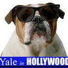 Yale in Hollywood(@YaleinHollywood) 's Twitter Profile Photo