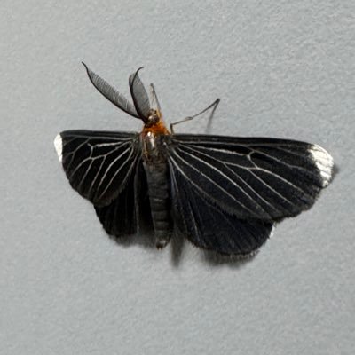 vibrantvibes27's profile picture. 