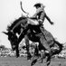 RodeoProfessor (@rodeoprofessor) Twitter profile photo RodeoProfessor (@rodeoprofessor) Twitter profile photo