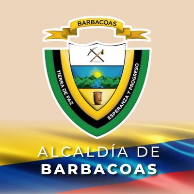 barbanarino's profile picture.