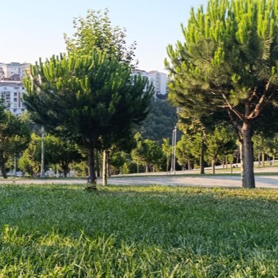 istebenvefa's profile picture. 