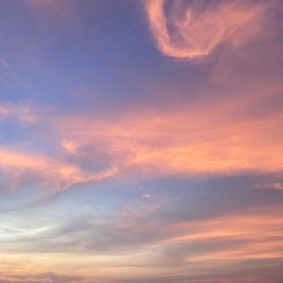 gothmedusa's profile picture. being smart has never stopped me from being an idiot