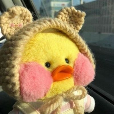 lstrsty's profile picture. 