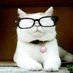 Catturd TM (@catturde1) Twitter profile photo Catturd TM (@catturde1) Twitter profile photo