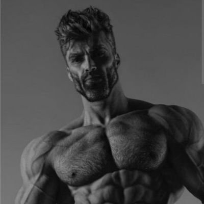 MaleSucces's profile picture. Make you a beast