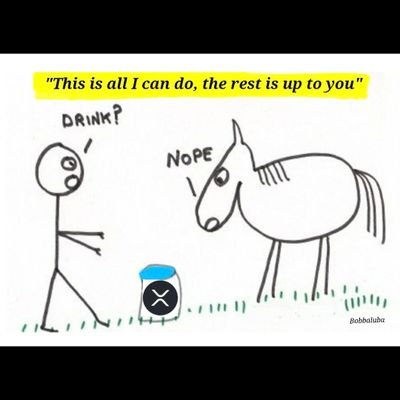 TimmyjSr's profile picture. 