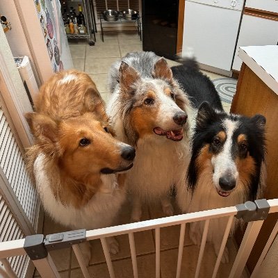 delsolfun's profile picture. 