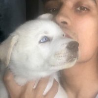 A. H.Gutierrez (@apolovegetics) 's Twitter Profile